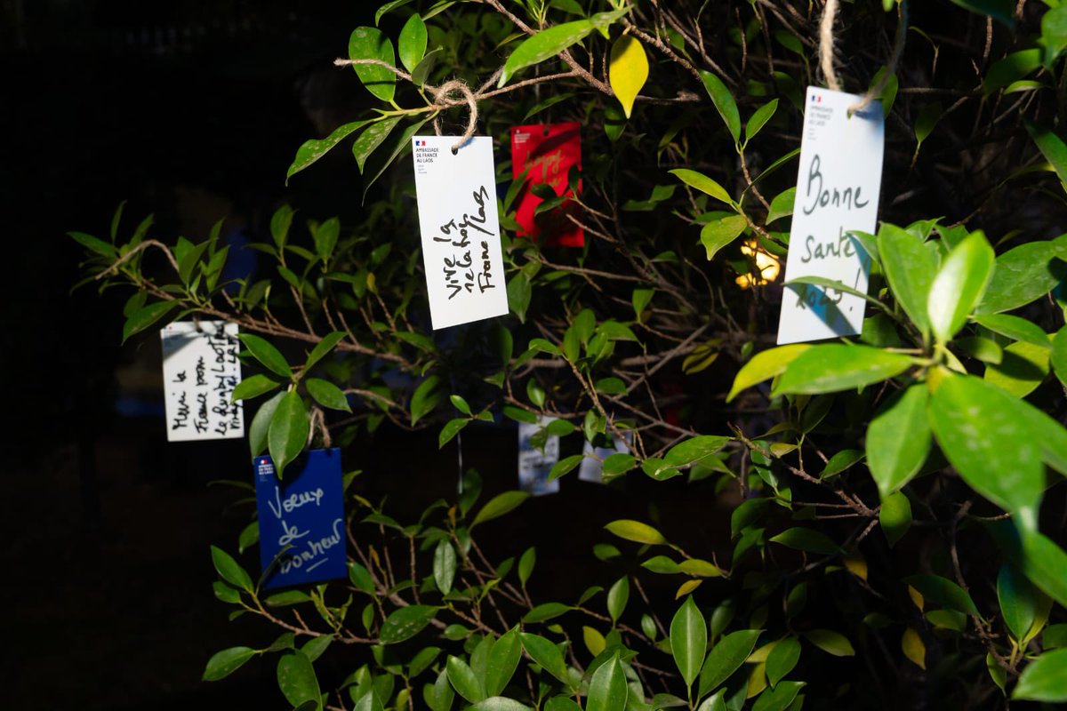 Heureuse de présenter nos vœux aux autorités 🇱🇦, à la communauté 🇫🇷 et aux partenaires pour l’année 2025, autour de galettes des rois préparées par de talentueux restaurateurs français de Vientiane.  2025 greetings ceremony at the Residence of 🇫🇷。