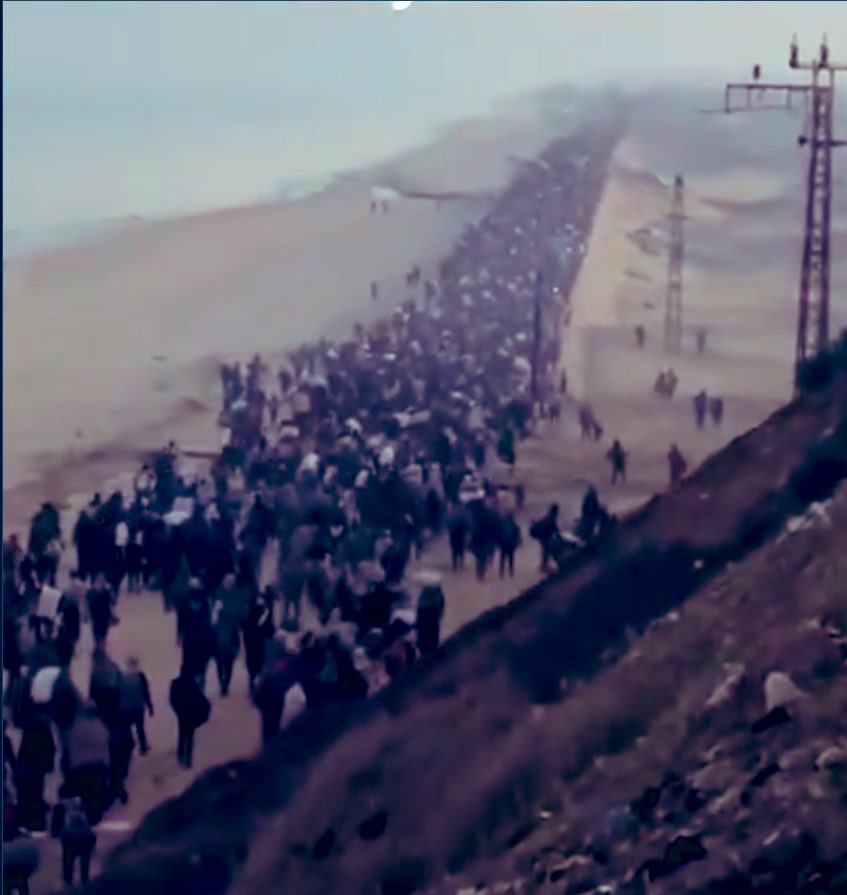 #giornatadellamemoria …corta

Noi invece non dimenticheremo l’abominio che Israele ha compiuto