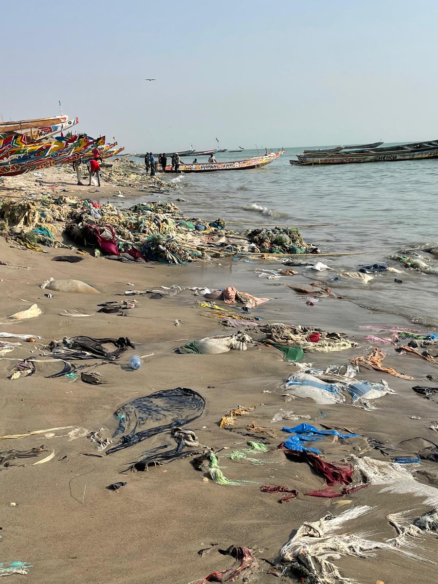 patrickpoulinet's tweet photo. @Vertumne1 Plages du Sénégal.. https://t.co/Ag5aGcbNVd