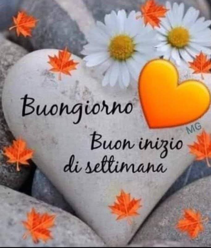 Marianna tweet media