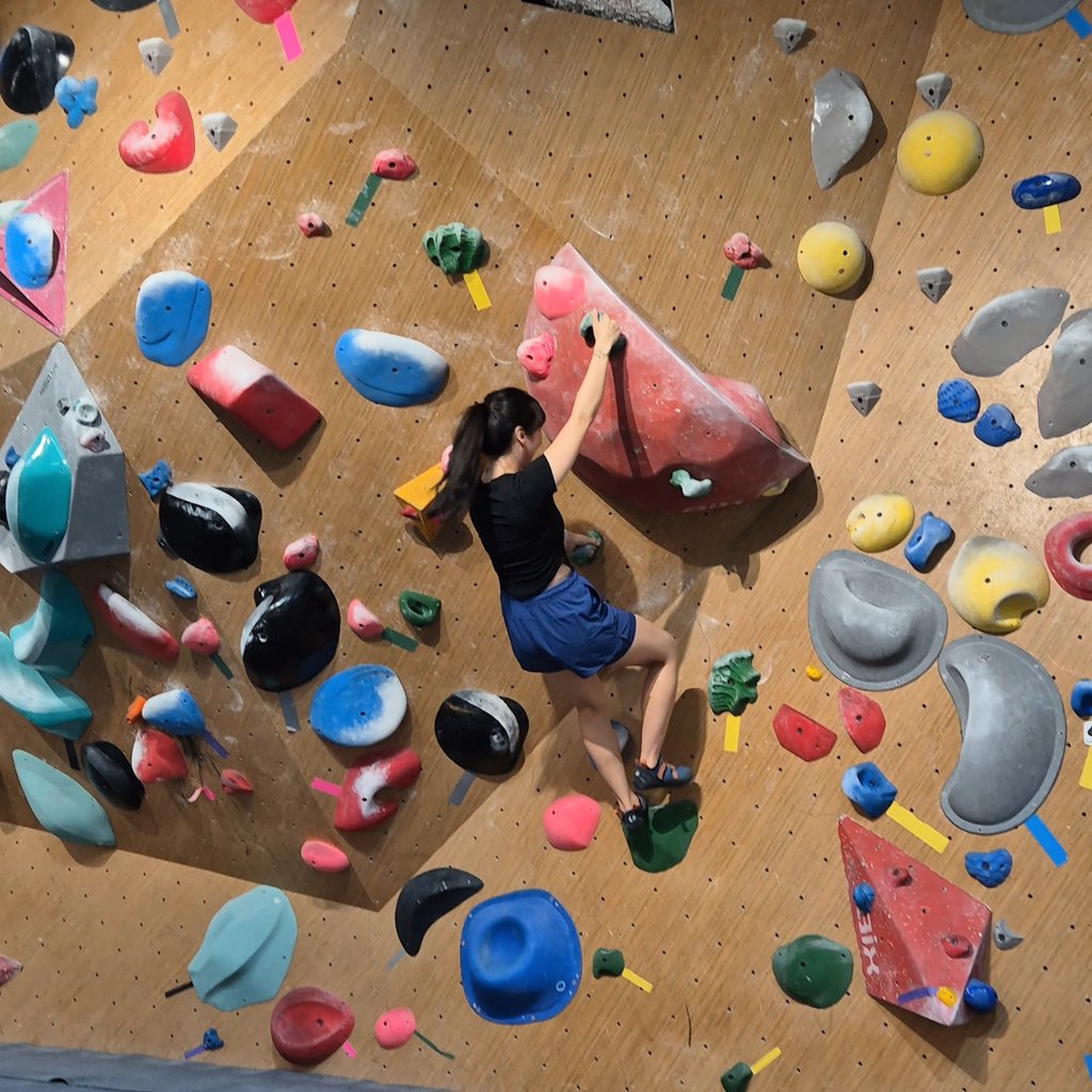 2월부터 쿨라이밍 다닐거야!!! 신난다!!!