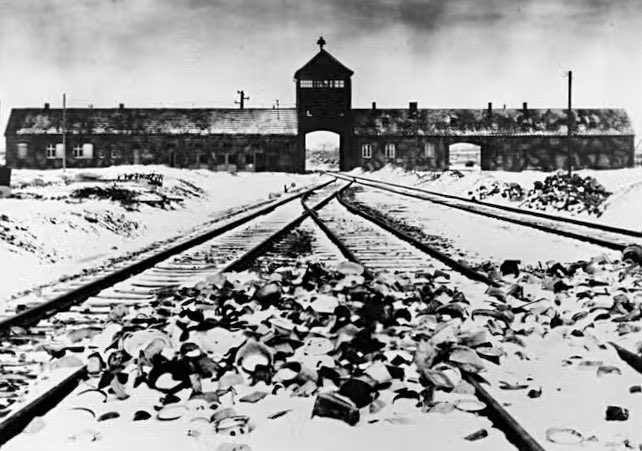 Sébastien Vincini tweet media