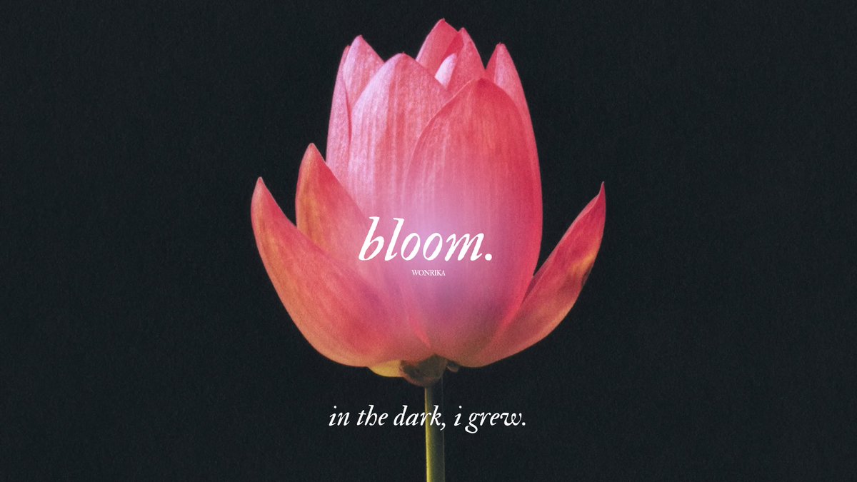 wonrika's tweet image. RUBY ⋆.˚ 🪷⋆.˚  #JENNIE - ZEN 
( ver. 01, midnight bloom ver. )
     ⤷  desktop, iPad / tablet wallpapers
     ⤷  see ( thread ) below. 

hd 🔗: tinyurl.com/zenwallpaper