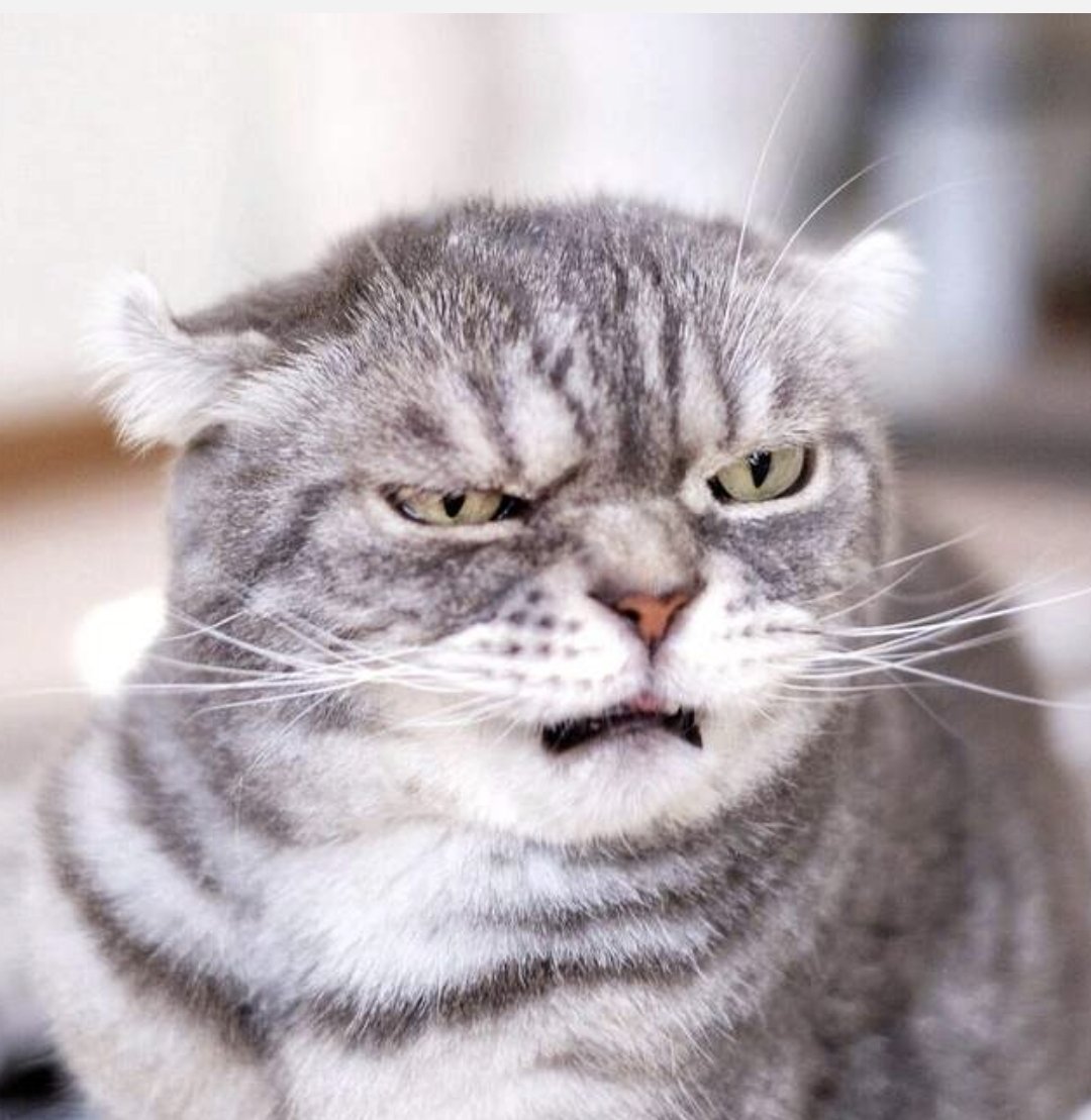 真是好久沒遇到這種沒禮貌的人了(菸)
來人啊～拿酒來～