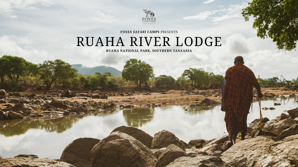 FoxesSafari's tweet photo. Our upcoming new short film highlights the beauty of this national park in Southern Tanzania, and the first lodge built within the park, our Ruaha River Lodge.

Stay tuned as we bring Ruaha River Lodge to you... https://t.co/dmSiuPzPwR