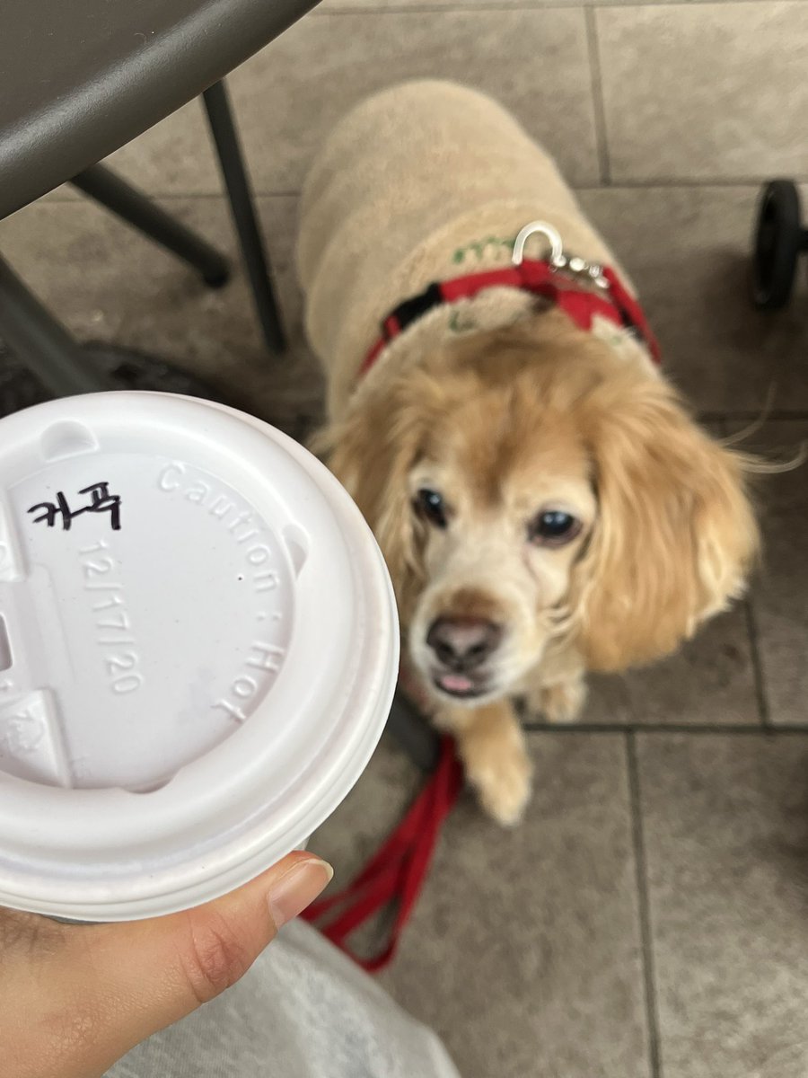 cookieand_'s tweet photo. 누나랑 아울렛 놀러갔더염 https://t.co/Sqnmnv9bYg