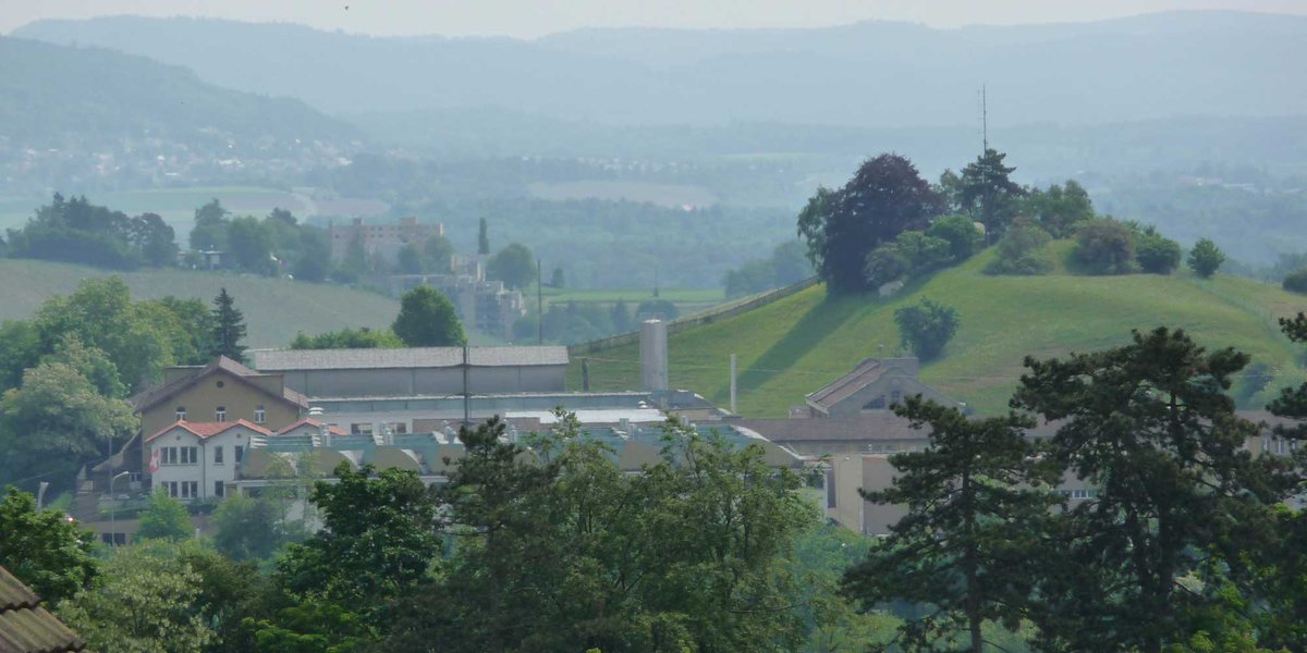 Rätselbild mit verwirrlichen Indizien. Wir brauchen Ortskenntnisse und Ideen für diese SIK-Bild.
Heute im #Blog #Crowdsourcing #WissenSieMehr
doi.org/10.35016/ethz-…