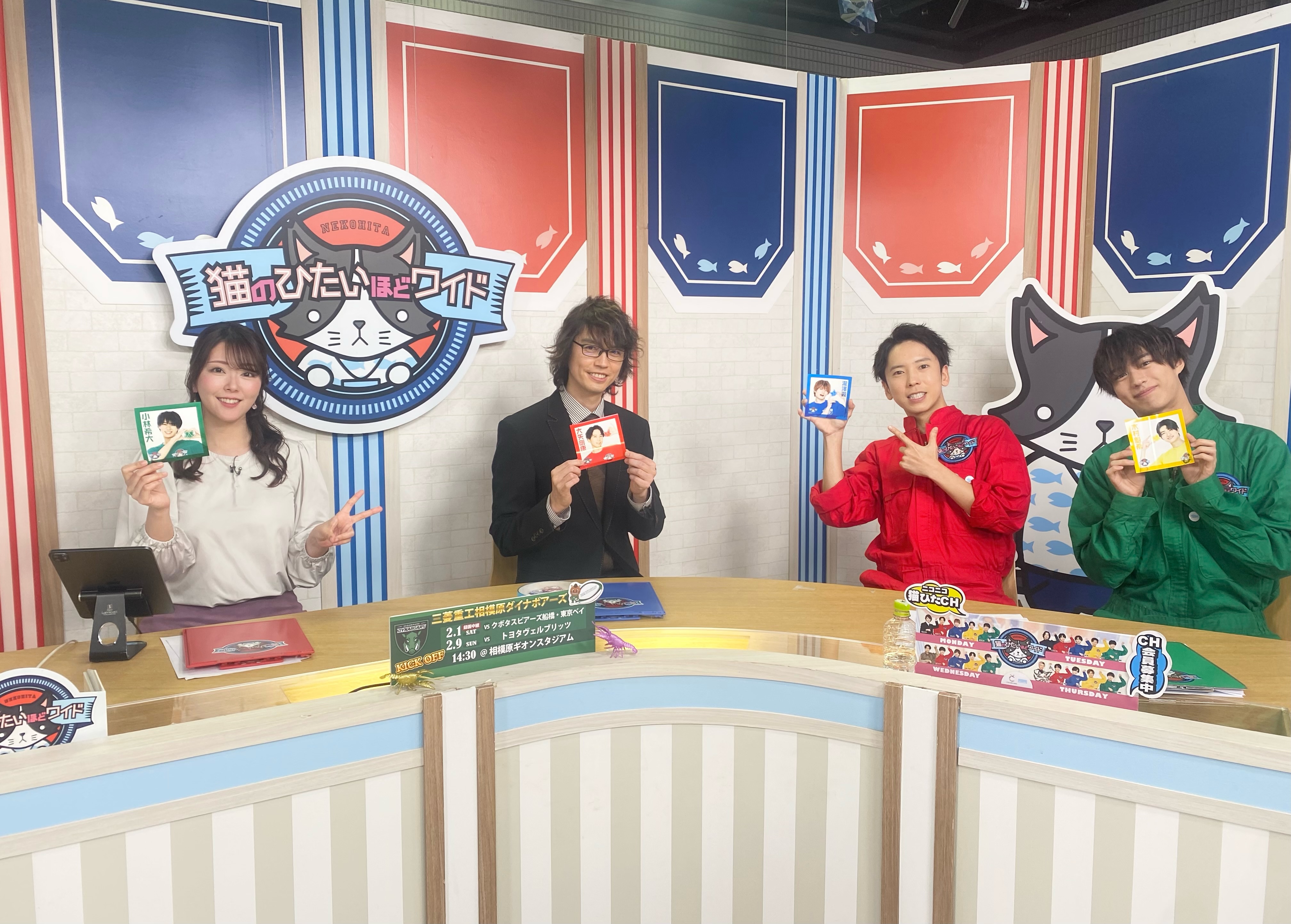 猫のひたいほどワイド on X: 