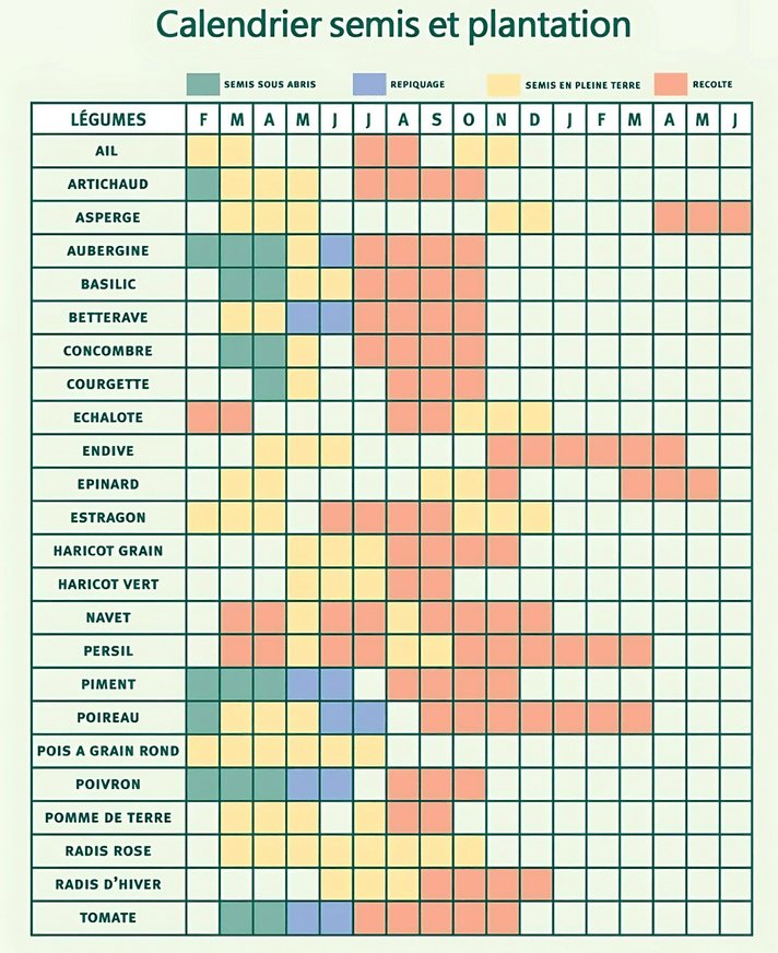 Calendrier des semis 2025 potager.biz/calendrier-des… #potager