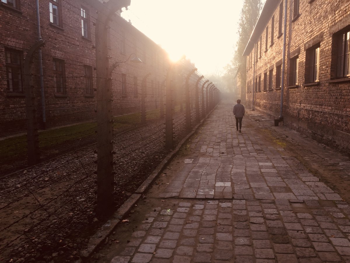 arnoldkarskens's tweet photo. Laten we bij de herdenking bevrijding vernietigingskamp Auschwitz, vandaag 80 jaar geleden, niet vergeten dat ons eigen @MinOCW en @ministerieJenV jarenlang de speurtocht naar nazi-moordenaars hebben bemoeilijkt. Een schande die zich niet laat uitgummen.
https://t.co/11EZ4PZTtk https://t.co/oQKIrhLrzd