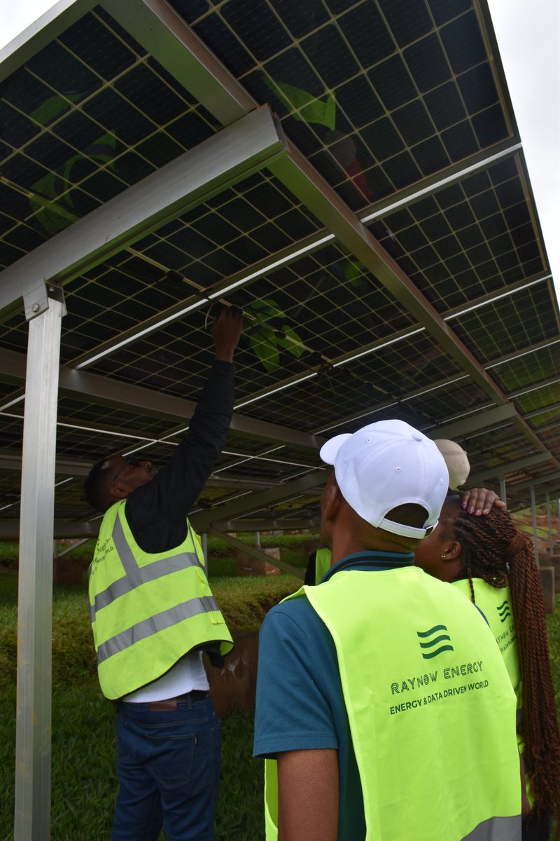 Raynow Energy tweet media