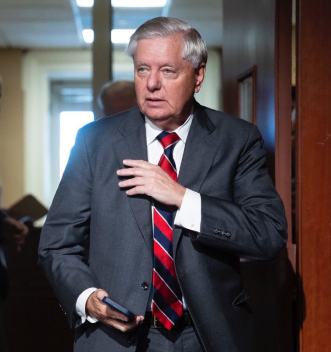 MAGAVoice's tweet image. Do you support voting Sen Lindsey Graham out of Congress for not supporting Trumps J6 Pardons ?

YES or NO ?