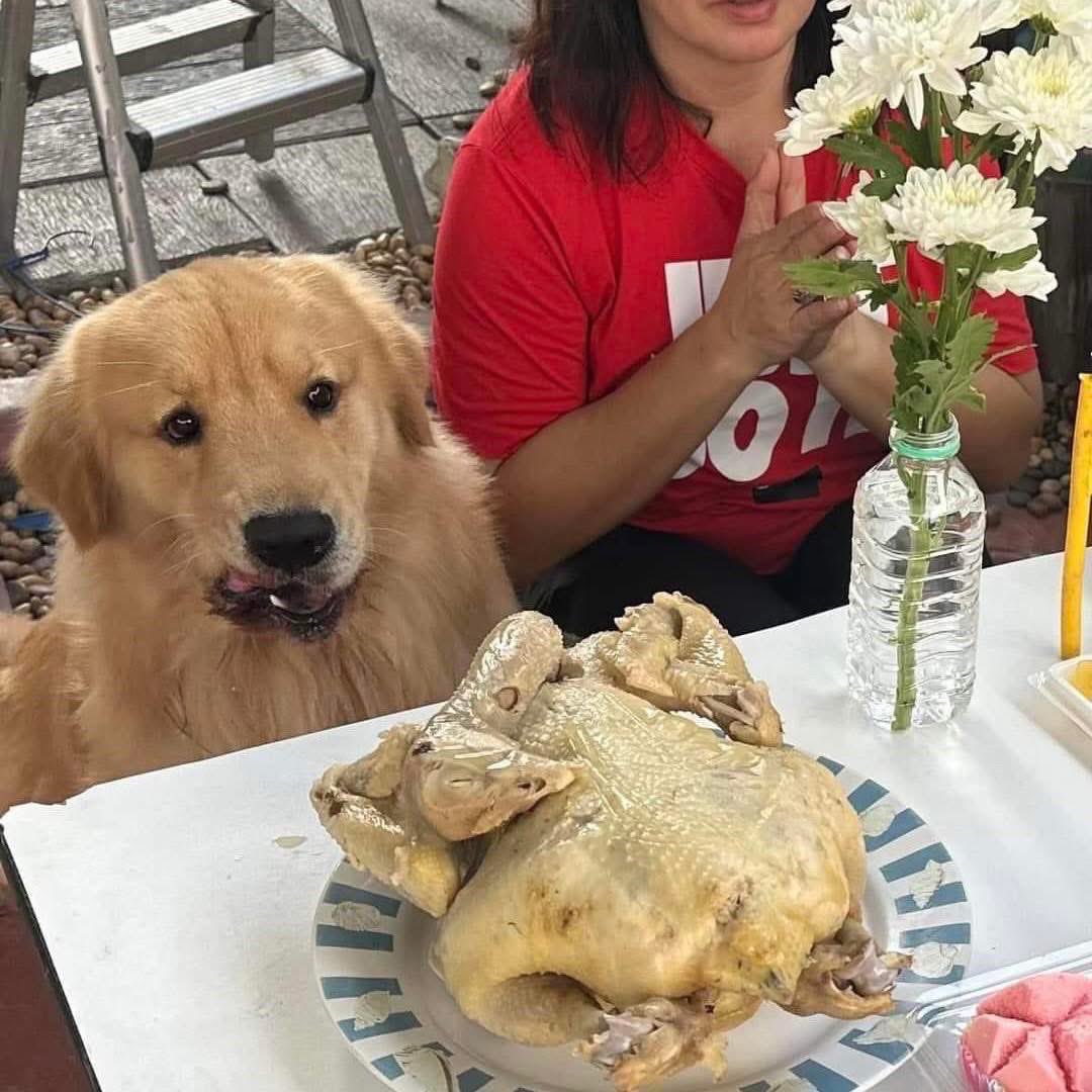 ไหว้ 1 ได้ถึง 2