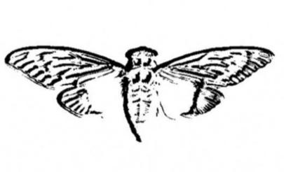 maharshii's tweet photo. the most iconic logo of all time, nothing comes close. https://t.co/W4tB73XgKA