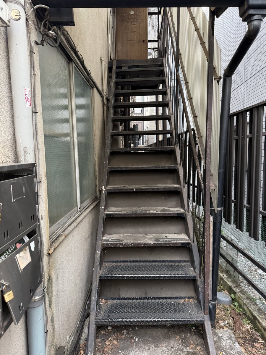 tapiagain's tweet image. 登ってはみた、、、