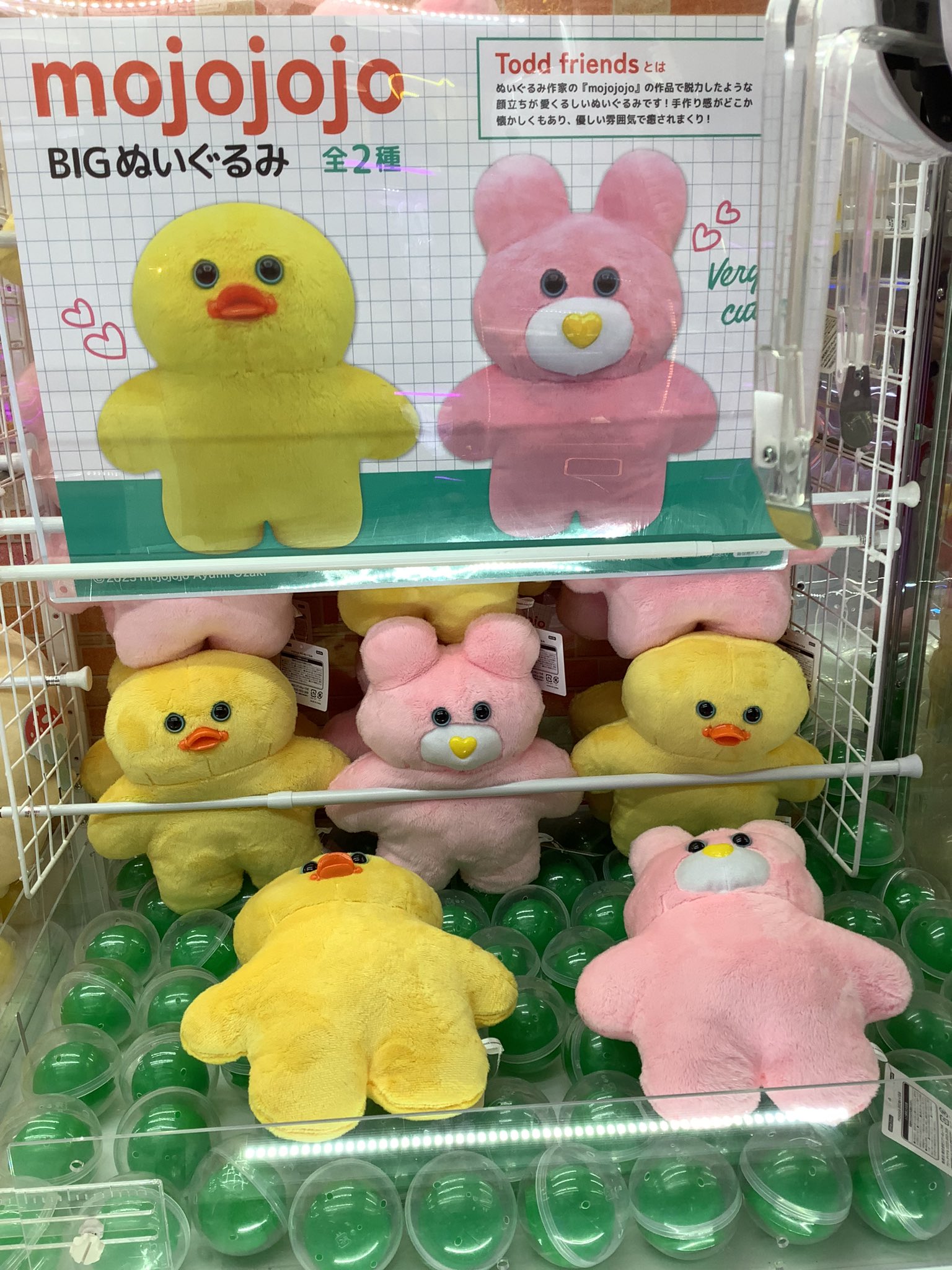 アミパラ高知店【公式】 on X: アミパラ高知店【公式】 on X: