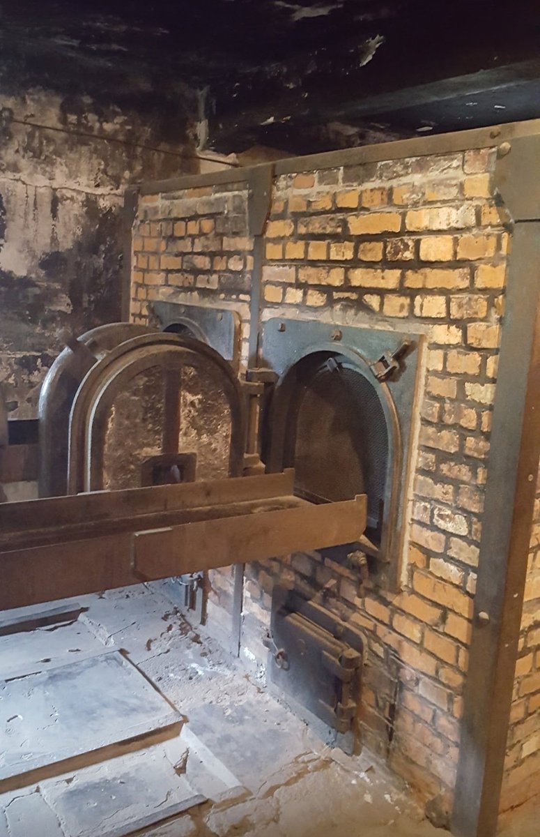 BigSeamus188826's tweet image. In 2016, on the 100th Anniversary of the Easter Rising, we visited  #Auschwitz
A Harrowing experience  💔 
A NI woman asked why we were there as we hated  🇮🇱 
I told her not one Israeli died in the camp, only  innocent Jews 
Then her bitter Zionist ignorance spewed out  😡