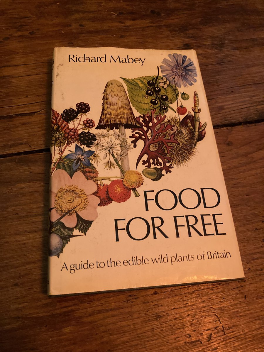 CandiaMcKormack's tweet image. This foxy book has become more and more foxed over the decades it's lived with me, and smells as earthy as its contents. Wonderful! 🍄‍🌱🌼 #RichardMabey #FoodforFree