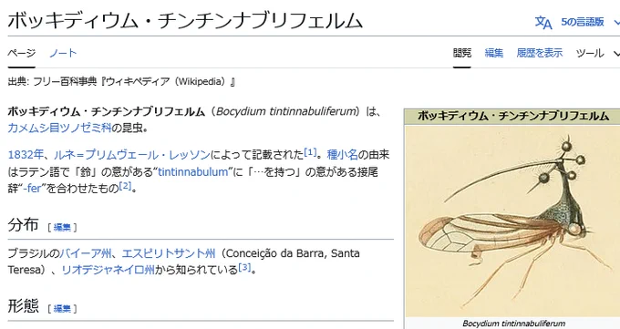 ネットでたまに見かける虫の名前調べたら凄い名前してるな・・・結構有名な話らしいけど初めて知った 