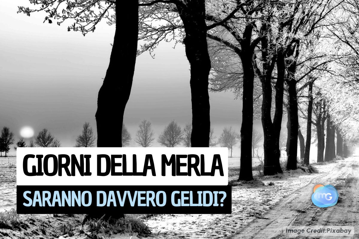 MeteoGiuliacci's tweet image. METEO: arrivano i GIORNI DELLA MERLA, saranno davvero gelidi come vuole la tradizione?
Le proiezioni aggiornate nel nostro articolo sul sito: shorturl.at/mVUzv
#meteo #giornidellamerla #gelo #neve
