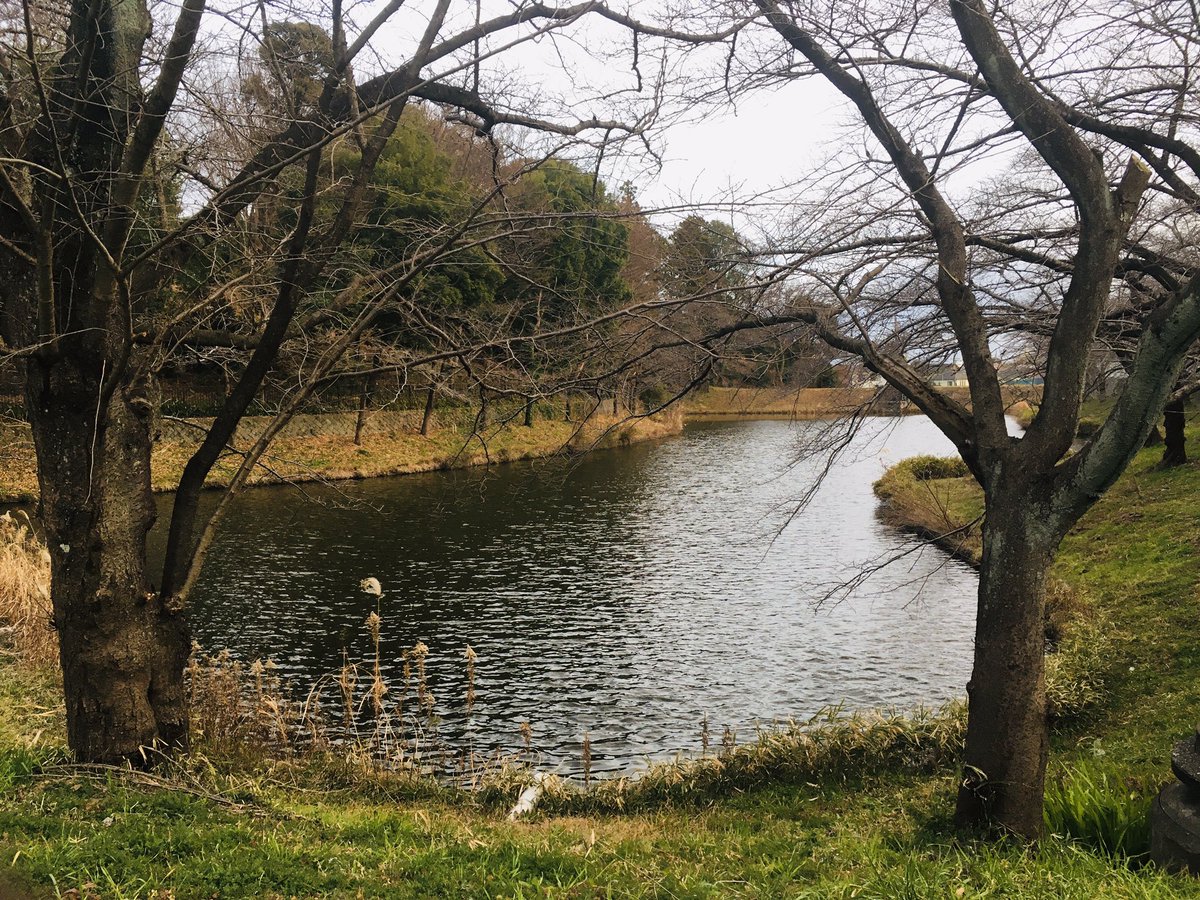 pfllllfq's tweet image. #籠口ノ池
#walking
#sparetime
cf24×309+13