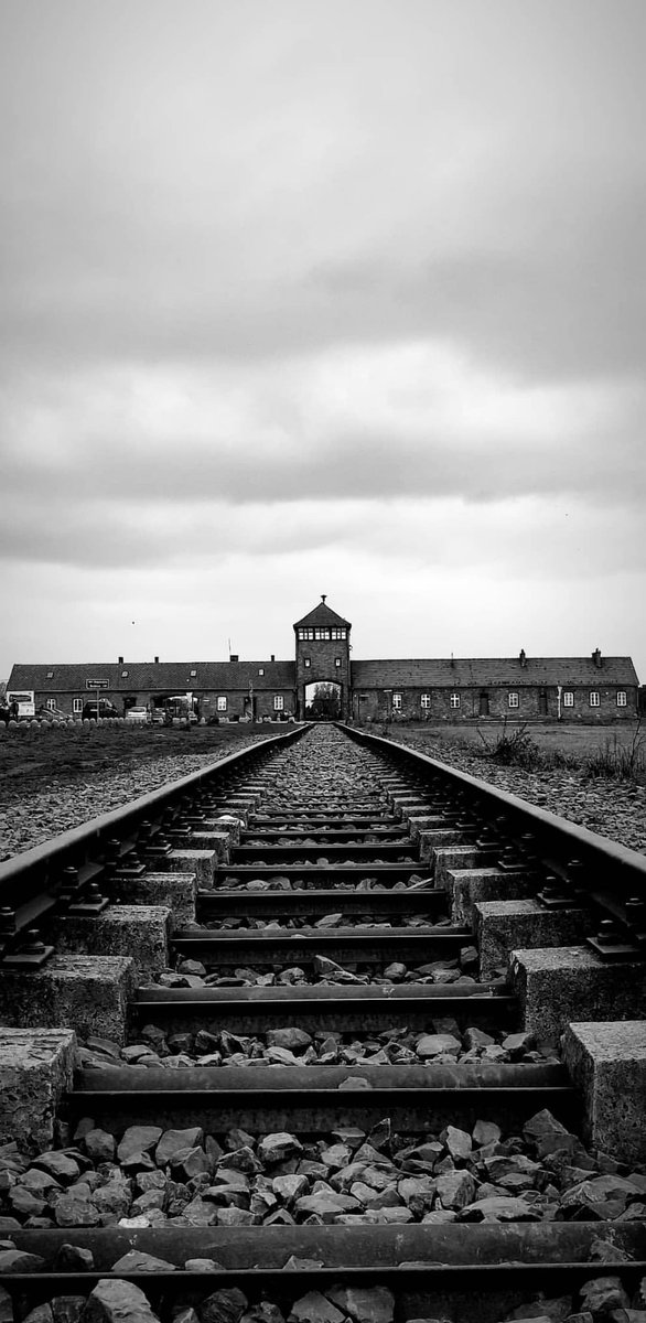 maartenbrink's tweet photo. Opdat wij niet vergeten. 

#Auschwitz #Auschwitz80 #Holocaust🕯️ https://t.co/0J86T0j4UB