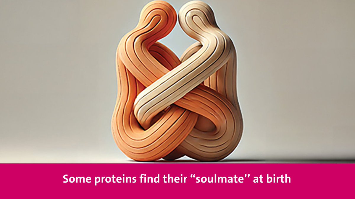 UNIGE_en (@unige_en) on Twitter photo A study by UNIGE and the Weizmann Institute reveals how certain proteins assemble as soon as they are synthesized, ensuring their stability and efficiency. <a href="/WeizmannScience/">Weizmann Institute</a> <a href="/sciences_UNIGE/">Faculty of Science | UNIGE</a>
#UNIGE #biology #research
ow.ly/2T4i50UNyNx A study by UNIGE and the Weizmann Institute reveals how certain proteins assemble as soon as they are synthesized, ensuring their stability and efficiency. <a href="/WeizmannScience/">Weizmann Institute</a> <a href="/sciences_UNIGE/">Faculty of Science | UNIGE</a>
#UNIGE #biology #research
ow.ly/2T4i50UNyNx