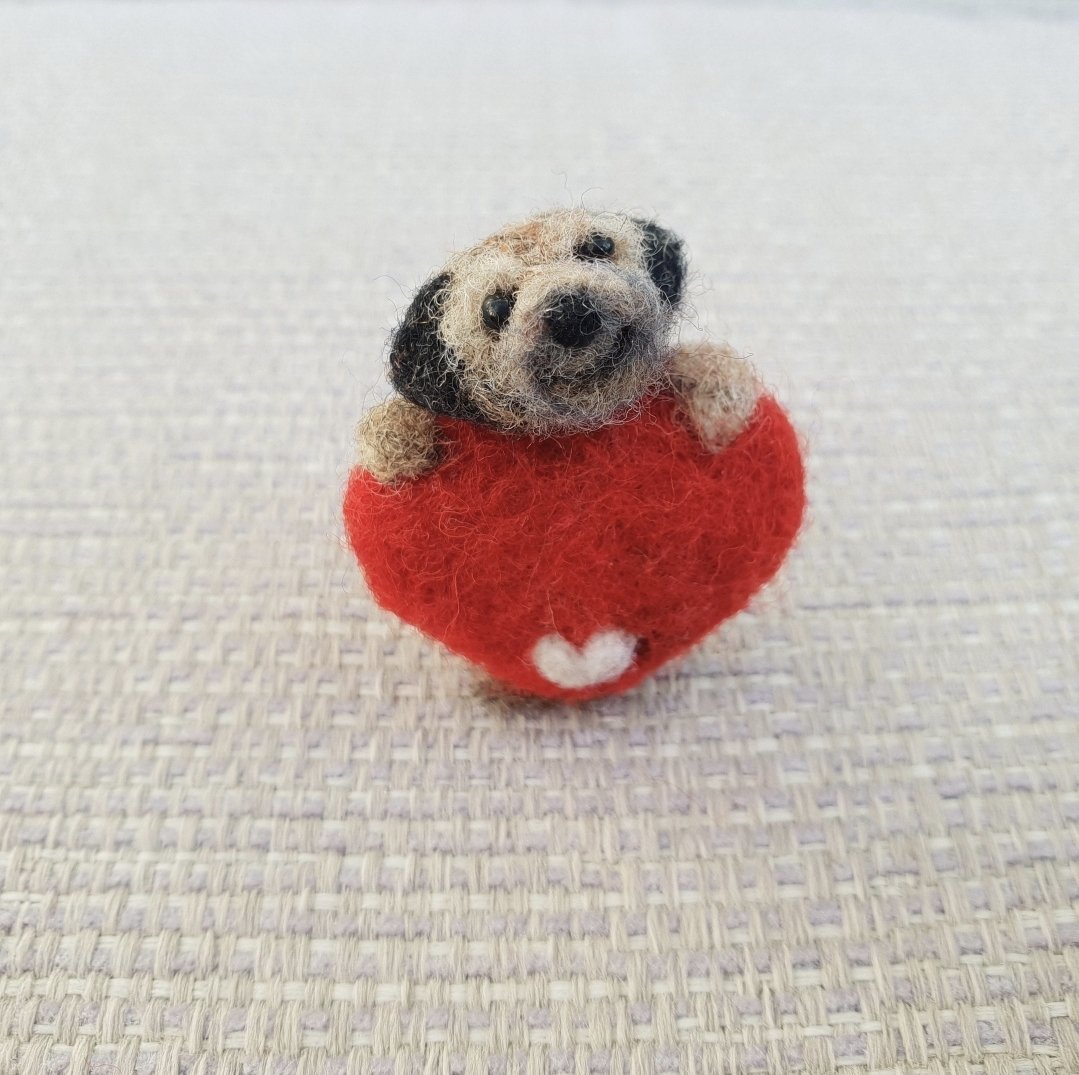 The Rocking Felter tweet media