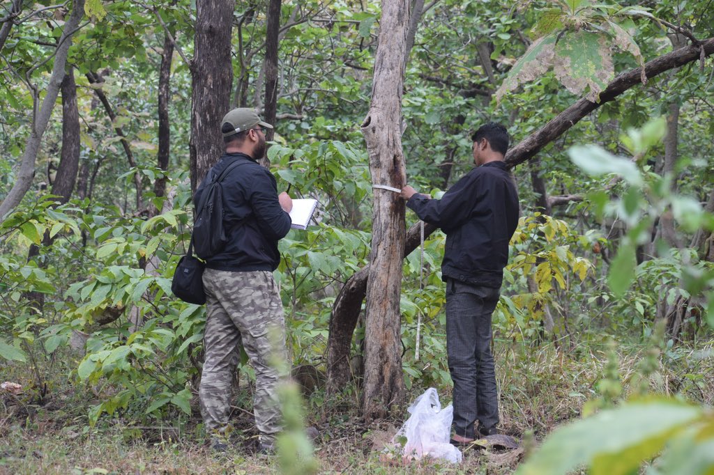 TIFR - NCBS Field Station (@ncbsmp) on Twitter photo Shailesh <a href="/k_shailesh1995/">Shailesh kumar</a> studying forest fires & its impact on forest dynamics is back to Pachmarhi station for his field work in Satpura.
He spoke to high school students living in vicinity of forest about the good, bad & ugly side of forest fires.
<a href="/NCBS_Bangalore/">National Centre for Biological Sciences</a> #fieldwork Shailesh <a href="/k_shailesh1995/">Shailesh kumar</a> studying forest fires & its impact on forest dynamics is back to Pachmarhi station for his field work in Satpura.
He spoke to high school students living in vicinity of forest about the good, bad & ugly side of forest fires.
<a href="/NCBS_Bangalore/">National Centre for Biological Sciences</a> #fieldwork