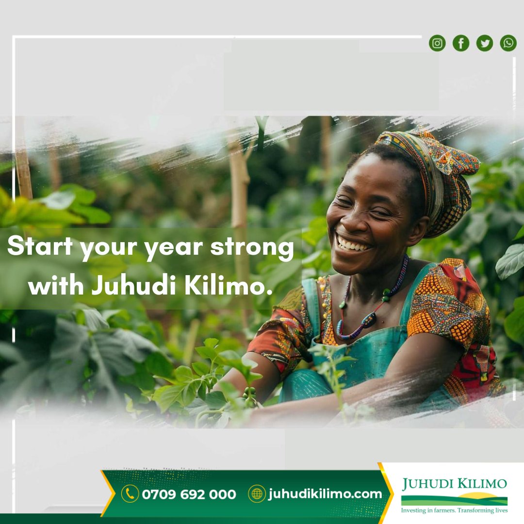 Empowering farmers, transforming communities. At Juhudi Kilimo, we're on a mission to provide financial solutions to help farmers grow produce and improve their livelihoods. Together, we’re cultivating a brighter, more sustainable future for agriculture.
#JuhudiKilimo