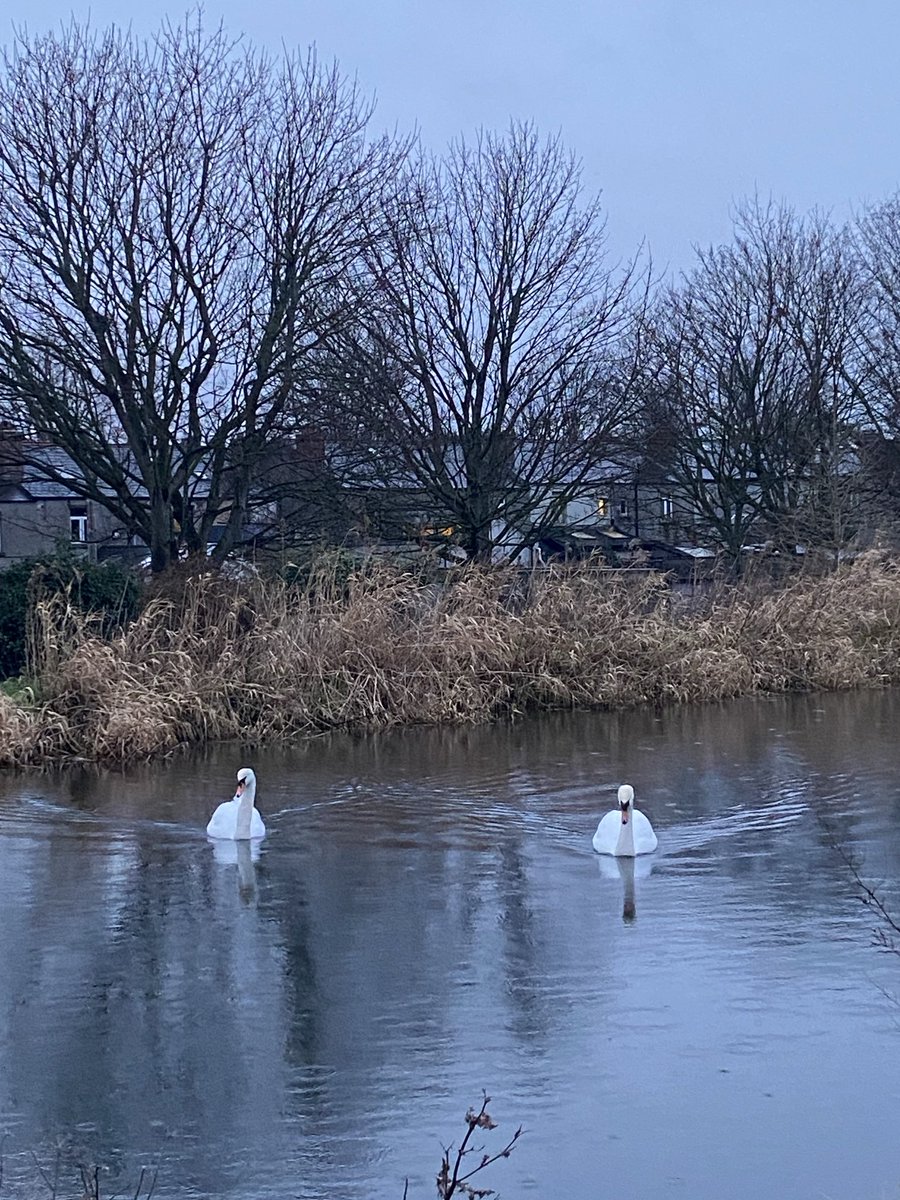 Linda FitzGerald tweet media