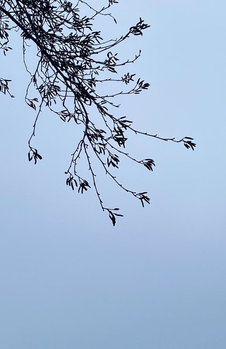 Linda FitzGerald tweet media