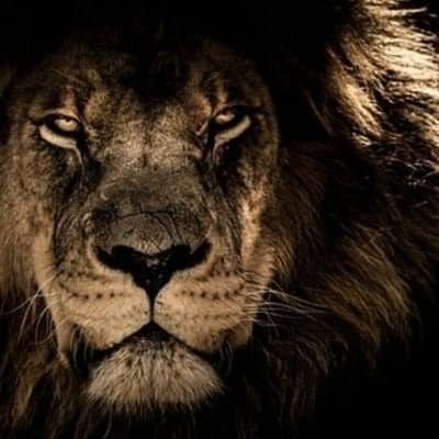 نواف الجهني tweet media