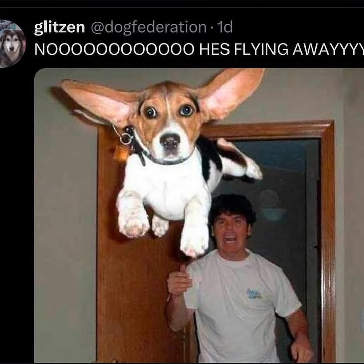 NOOO BOLIVER DON'T FLY AWAYYYYY