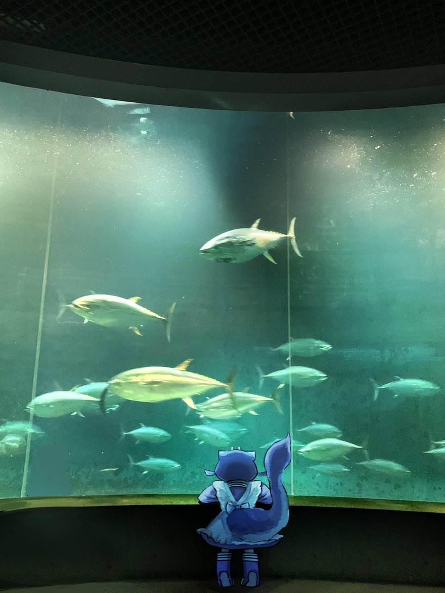 hatano_kiyoshi's tweet photo. 水族館に行ってきました https://t.co/aYsIPDovm8