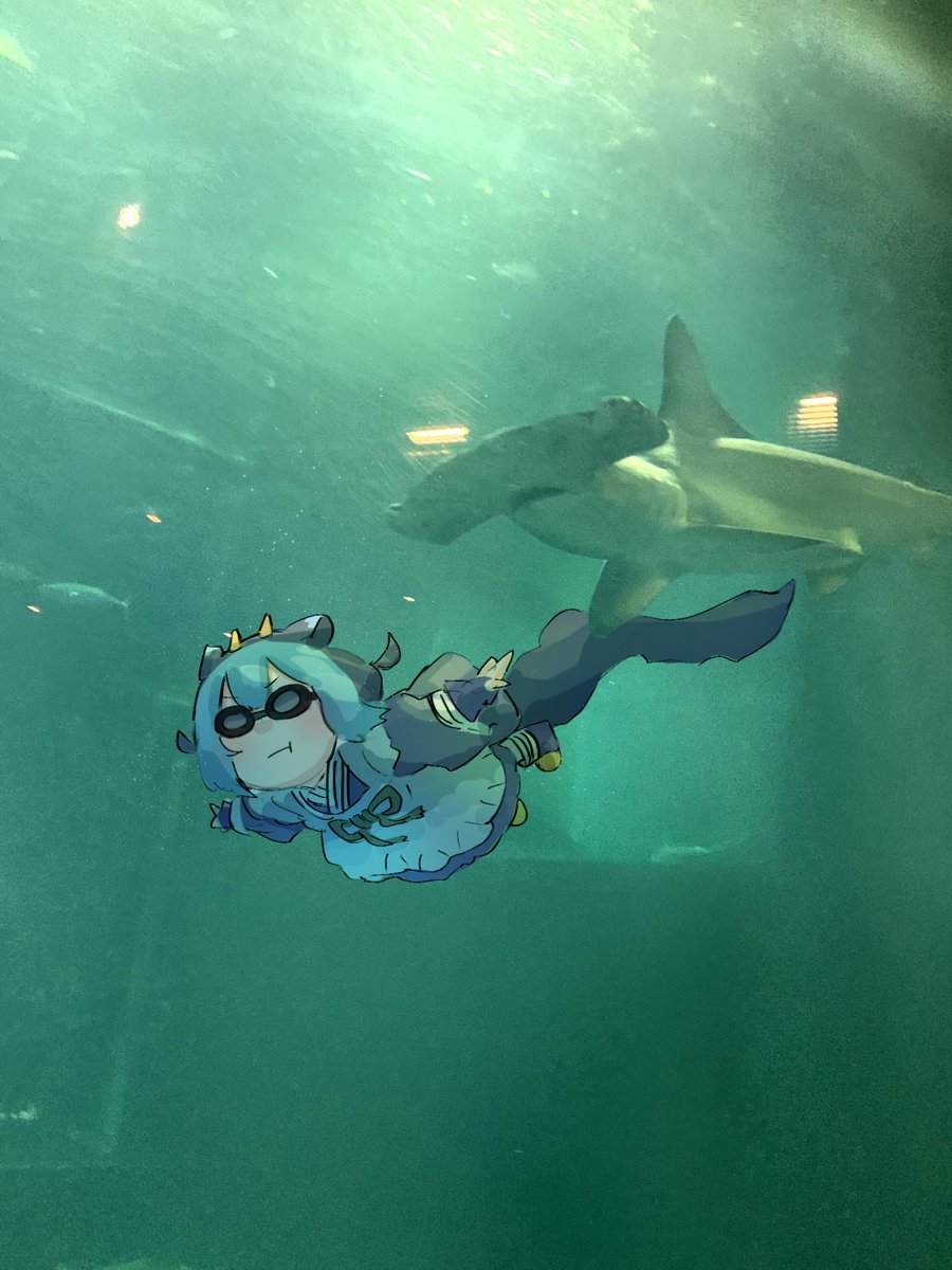 hatano_kiyoshi's tweet photo. 水族館に行ってきました https://t.co/aYsIPDovm8