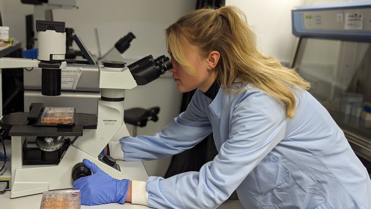 Cardiff University (@cardiffuni) on Twitter photo University research into #WomensHealth, #MentalHealth, and tackling #cancer are to be among the key areas of research to share £39.5m of funding from <a href="/ResearchWales/">Health and Care Research Wales</a> over the next five years.
buff.ly/40OMcxY University research into #WomensHealth, #MentalHealth, and tackling #cancer are to be among the key areas of research to share £39.5m of funding from <a href="/ResearchWales/">Health and Care Research Wales</a> over the next five years.
buff.ly/40OMcxY