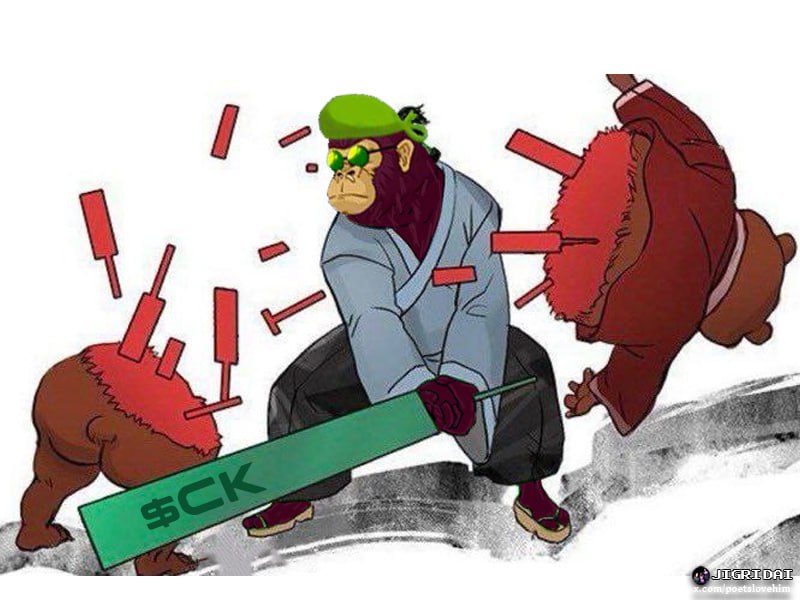 Jigri dai | TADO tweet media