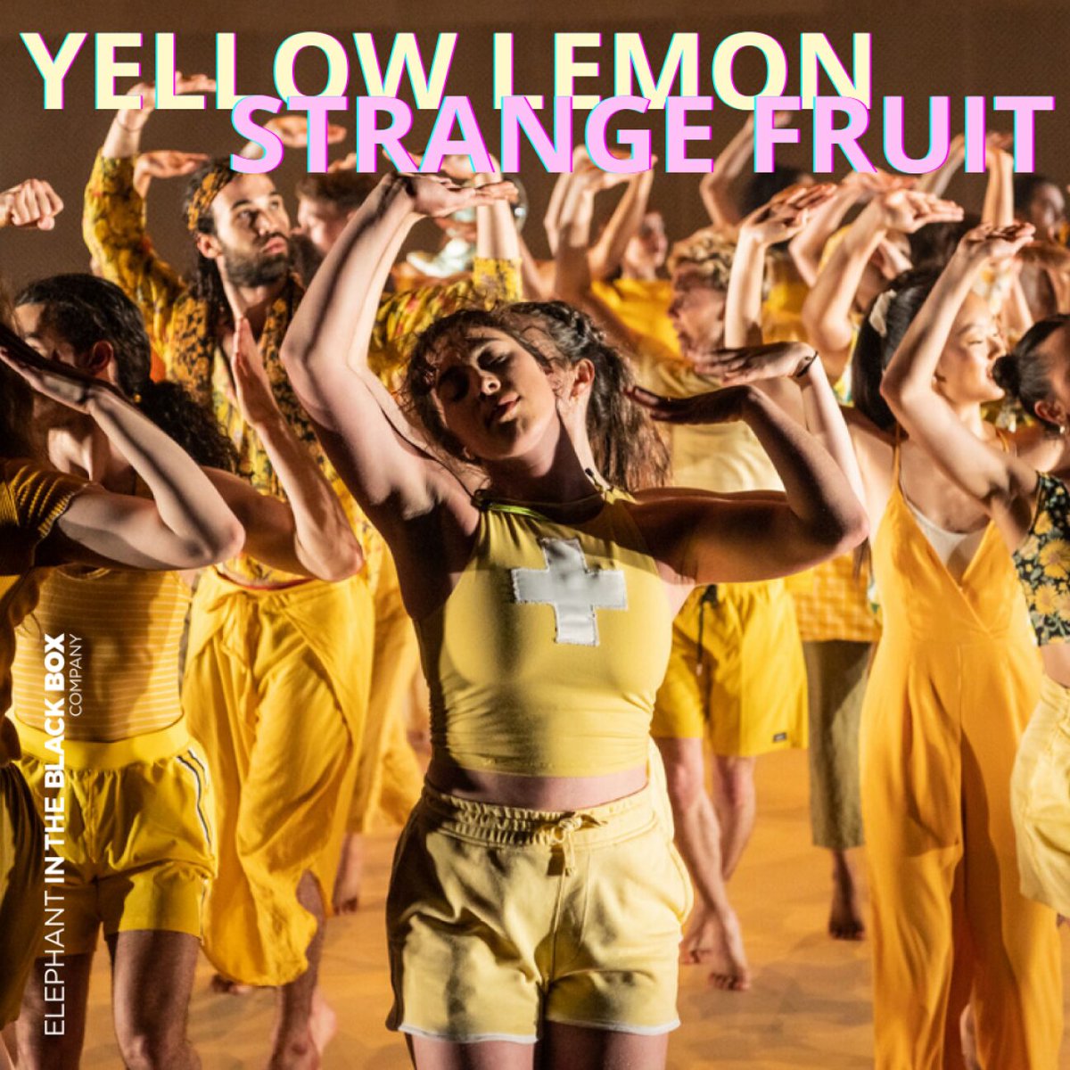 DANZA 🩰 Elephant in the Black Box Junior Company regresa al Institut français con "Yellow Lemon" de Xián Martínez Miguel - IXA Danza y  "Strange Fruit" de Jean-Philippe Dury.

📍 Teatro del Institut français
🕒 29/01 - 20:00
🎟Entrada general: 12€ / IF pass: 10€