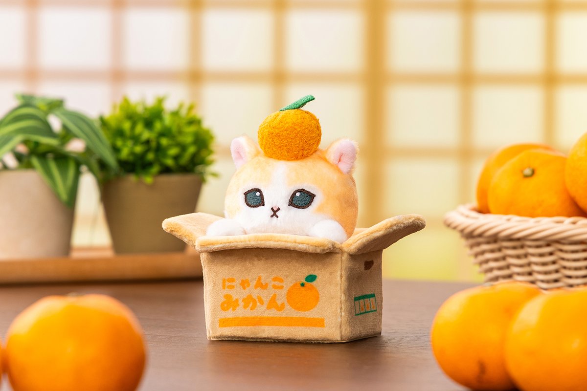 🍊ひょっこり！みかん箱にゃんマスコット🍊 #mofusand 先週新発売