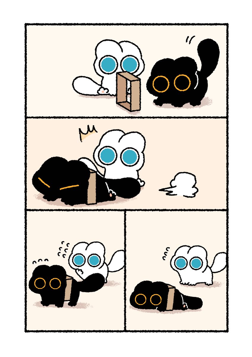 ジャストフィット🐾🐾 