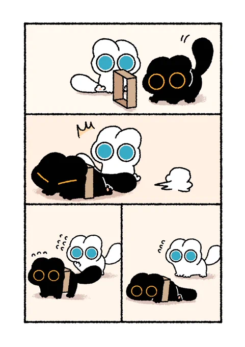 ジャストフィット🐾🐾 