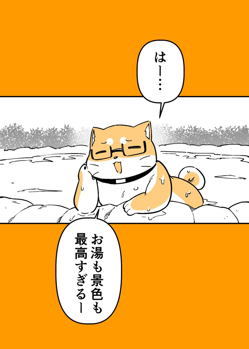 2/4 