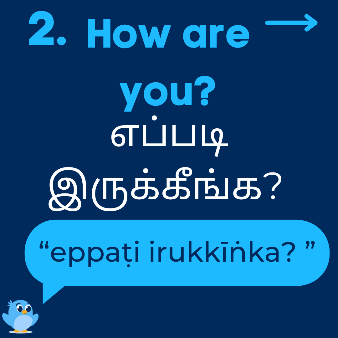 LanguageisEverything tweet media