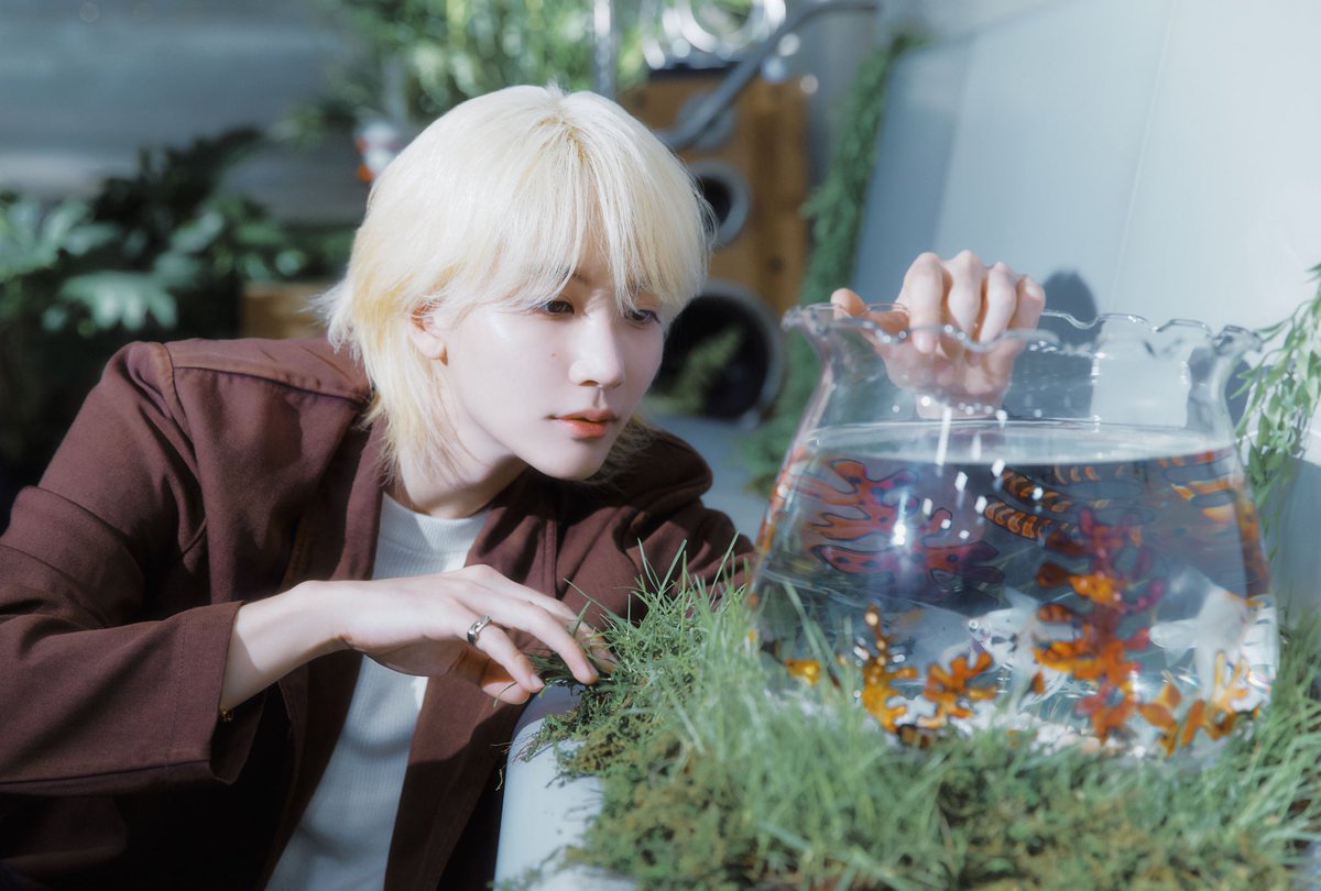 Omoinotake tweet media