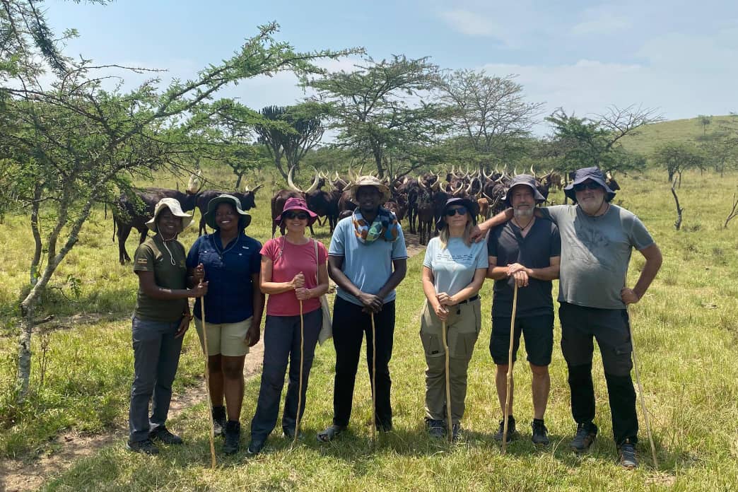 NduhukireW's tweet photo. Ankole cattle experience #DestinationAnkole https://t.co/18YgvR0ZTm