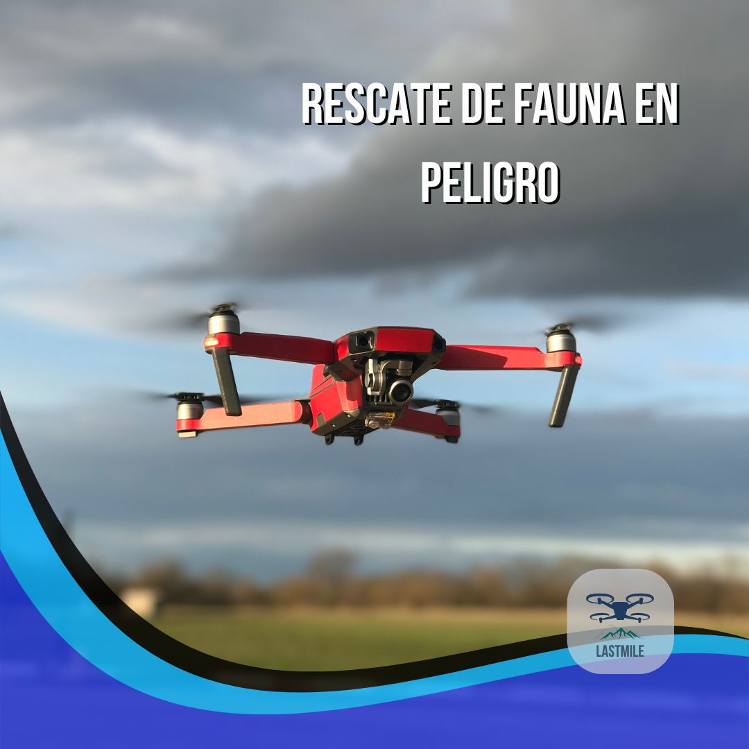 lastmiledrones's tweet photo. 🚁Rescate de fauna en peligro: Utilizamos drones para localizar y asistir a animales afectados por desastres naturales. #SalvandoVidas #TecnologíaHumanitaria #LastMileDron https://t.co/cP6H6zlD8h