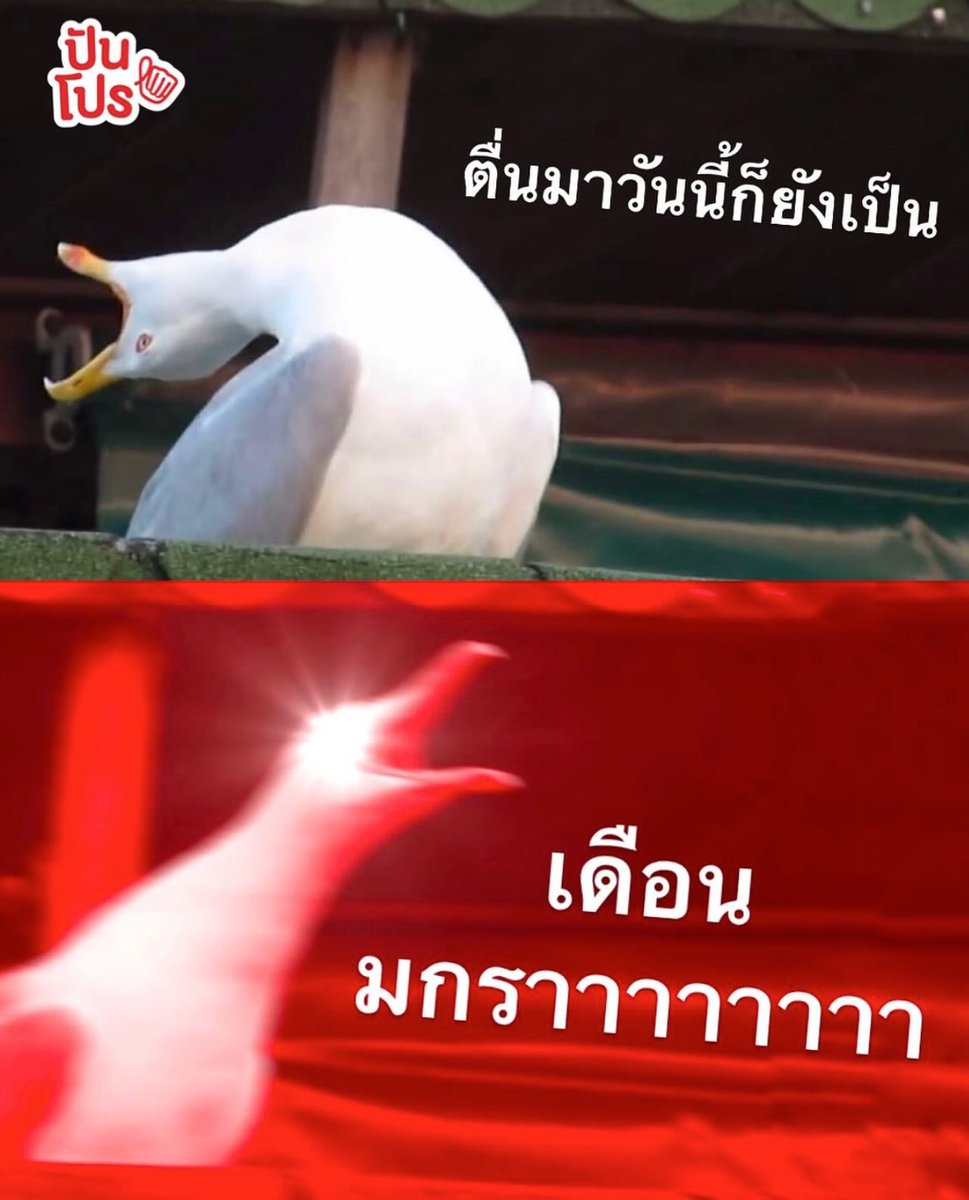 psmark1821's tweet photo. อีเหี้ย กุล่ะอย่างชอบจริงๆ5555555555555555555555555555555555 https://t.co/cpCoJvOzkT