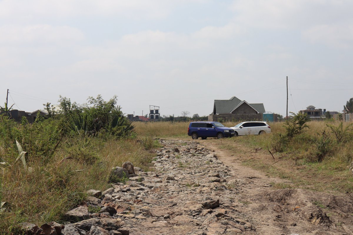 sheltaltd's tweet photo. Plots for Sale in Ruiru Murera! 📷📷
Enjoy serene living with these prime plots, perfect for building your dream home.
Price: Ksh 1M
Contact us today on 0700932263 for inquiries and viewing! https://t.co/iI6ldP0epF