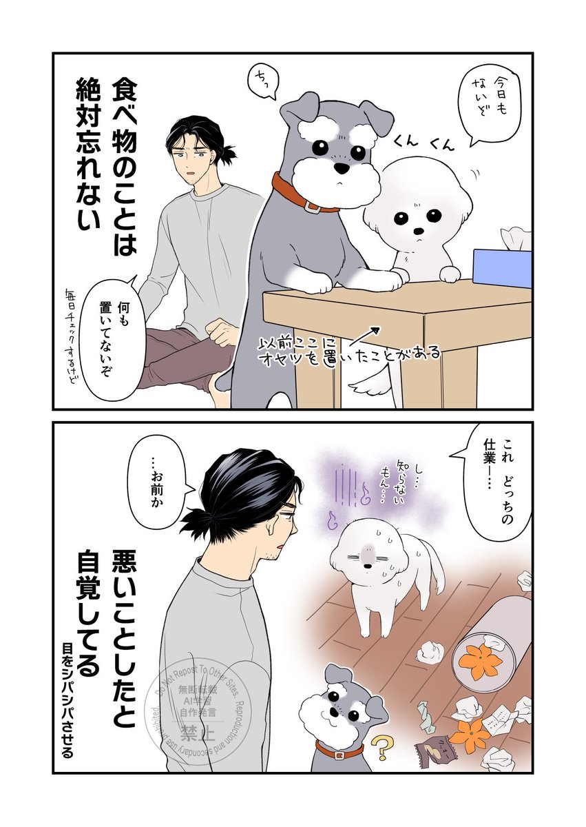 杉浦さんちの犬くんズ

#シュナウザー
#ビションフリーゼ 